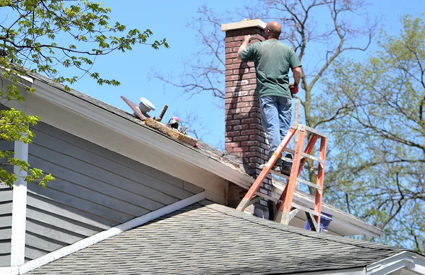 Chimney & Fireplace Inspections Services in West Hempstead, NY